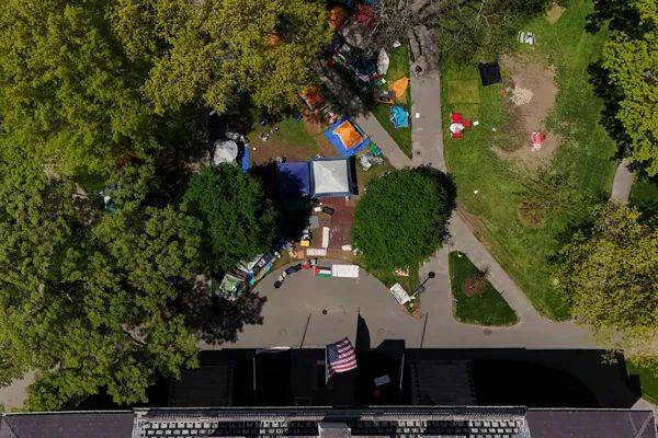 皇冠信用网正网_"特朗普这是在邀请中国抢走我们的科学家皇冠信用网正网，太可怕了"