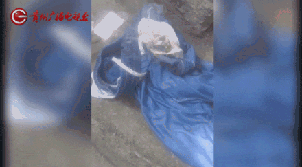 皇冠信用网注册_女子水中捡漂亮石头装裤兜里被烧伤皇冠信用网注册，医生：“石头”初步判定是磷