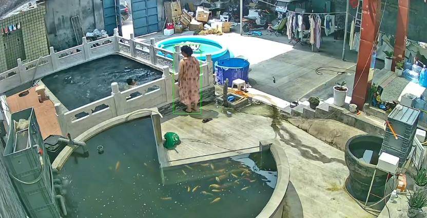 怎么申请皇冠信用网_新乡一男子喂鱼忘送娃上课被妻子踹进鱼池：妻子怀孕脾气有时候控制不住怎么申请皇冠信用网，互相道了歉