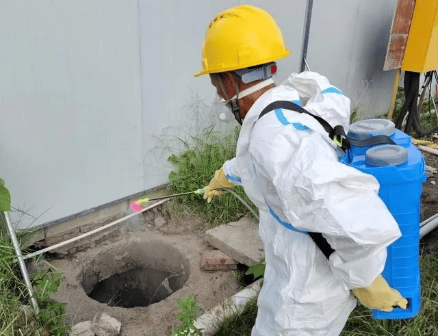 皇冠信用网账号注册_家里的这几个地方皇冠信用网账号注册，正悄悄“养”出花斑蚊！快自查→