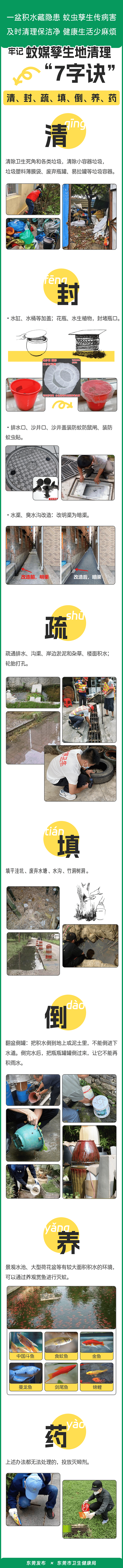 皇冠信用网账号注册_家里的这几个地方皇冠信用网账号注册，正悄悄“养”出花斑蚊！快自查→