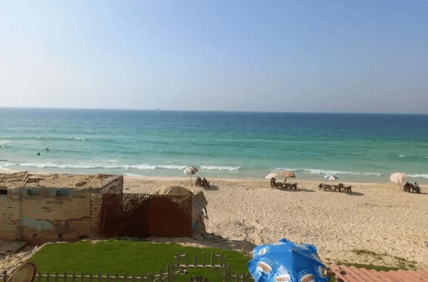 雷丁vs温布尔登_突发！6名学生遇难雷丁vs温布尔登，24人受伤