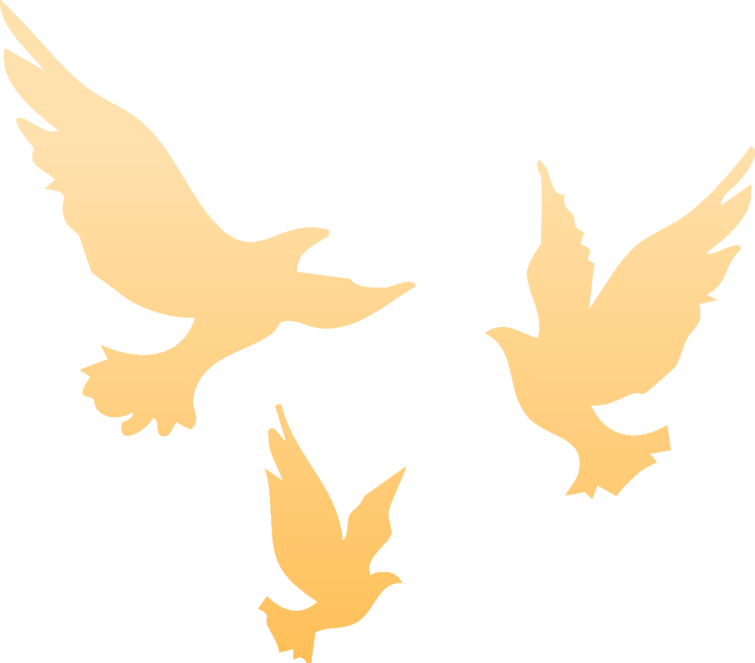 皇冠信用网代理注册_就在明天皇冠信用网代理注册！九三阅兵！这份直播观看攻略与亮点安排请收好