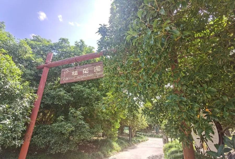 皇冠信用網代理如何注册_上海天气大反转！雨水+冷空气来袭皇冠信用網代理如何注册，气温将骤降...“差不多行了，再热就不礼貌了”