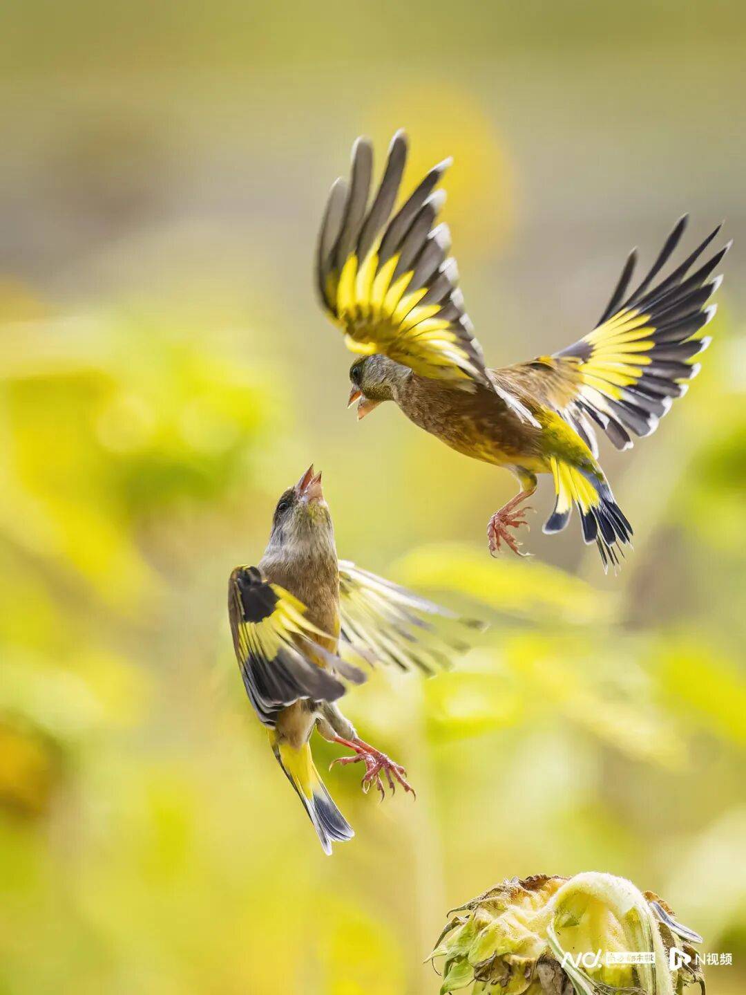 皇冠信用盘最新地址_东莞最新发布：将严厉打击这些行为皇冠信用盘最新地址！