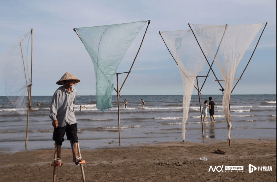皇冠信用网登3代理注册_外交部赵立坚点赞湛江：渔网起落间皇冠信用网登3代理注册，满舱鲜活载着晨光归来