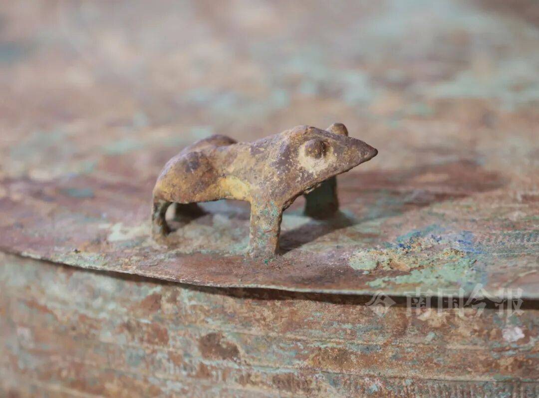 皇冠信用需要押金吗_柳州钓鱼阿叔竹林挖蚯蚓皇冠信用需要押金吗，竟挖出千年前的“大宝贝”！