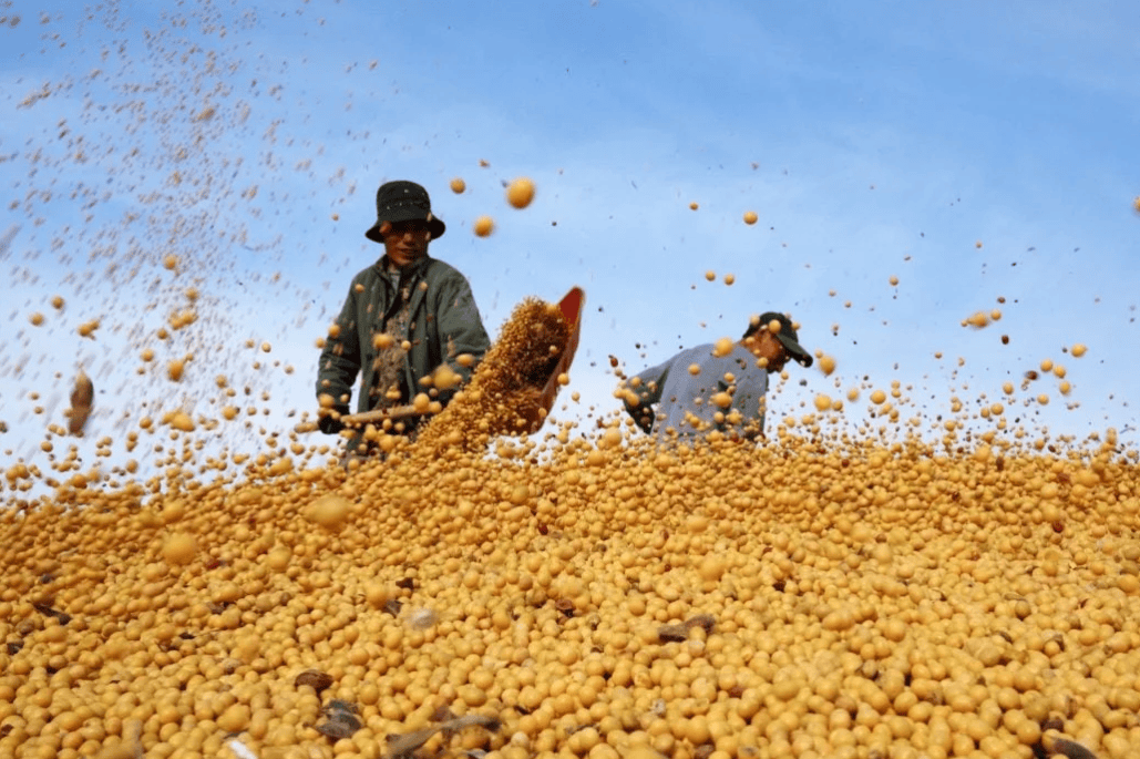皇冠信用盘APP下载_金灿荣：我大胆断言皇冠信用盘APP下载，中美明年不会达成大协议