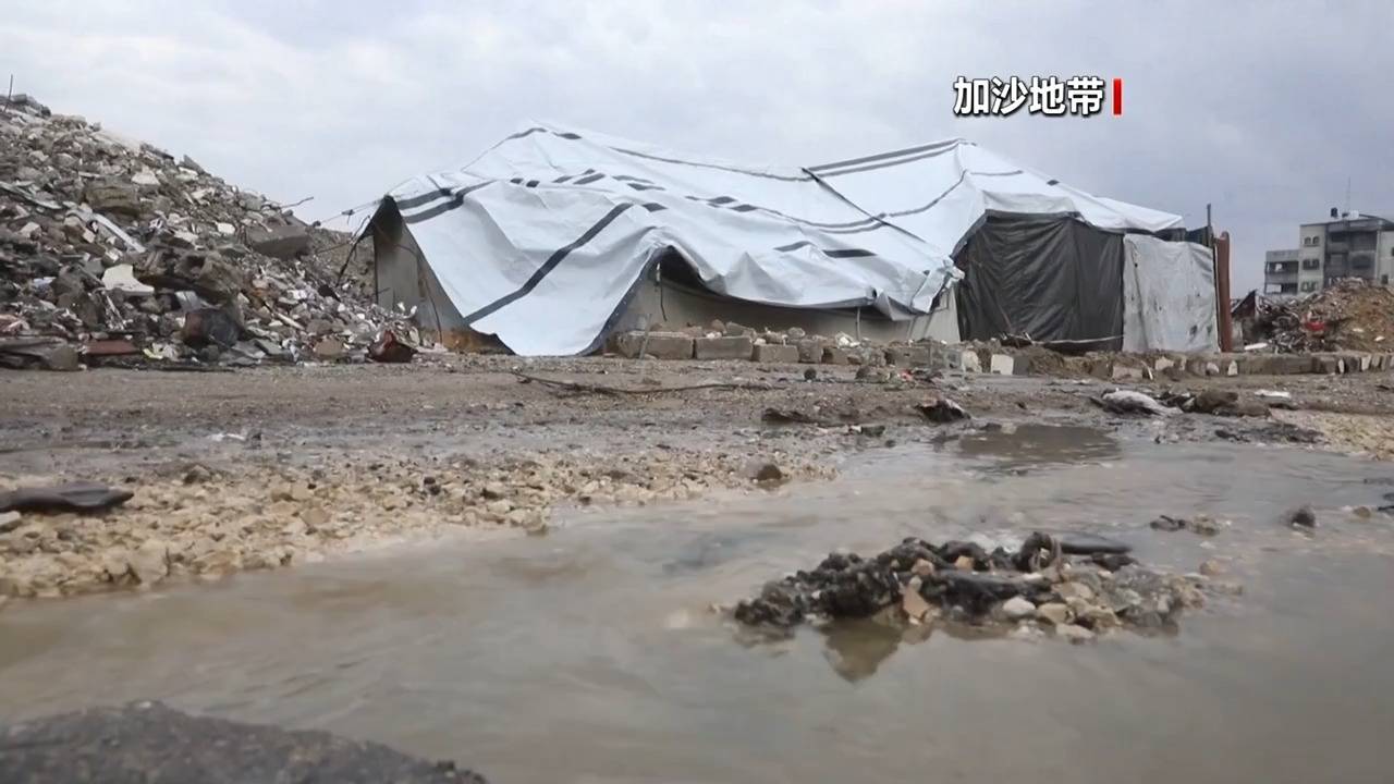 皇冠信用网口出租_最新皇冠信用网口出租！法国、英国、加拿大、丹麦、芬兰等十国外长发布联合声明