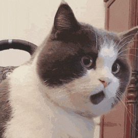 皇冠ag hga050_冷冷冷皇冠ag hga050！广东或将下雪！深圳气温降至……