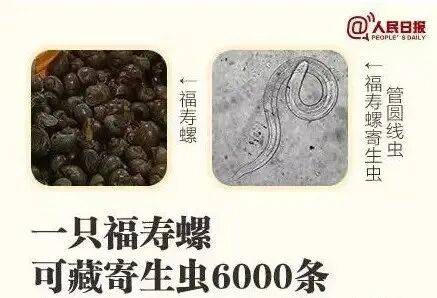 皇冠在线客服
_别吃!寄生虫多达6000条皇冠在线客服
,近期正大量出现,严重可致死