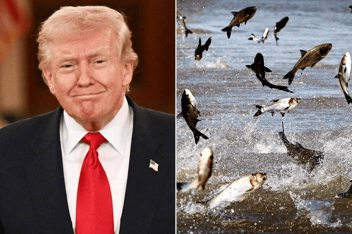 皇冠信用盘怎么申请_特朗普又有了新敌人！高调宣战亚洲鲤鱼皇冠信用盘怎么申请，这次总不能再输了