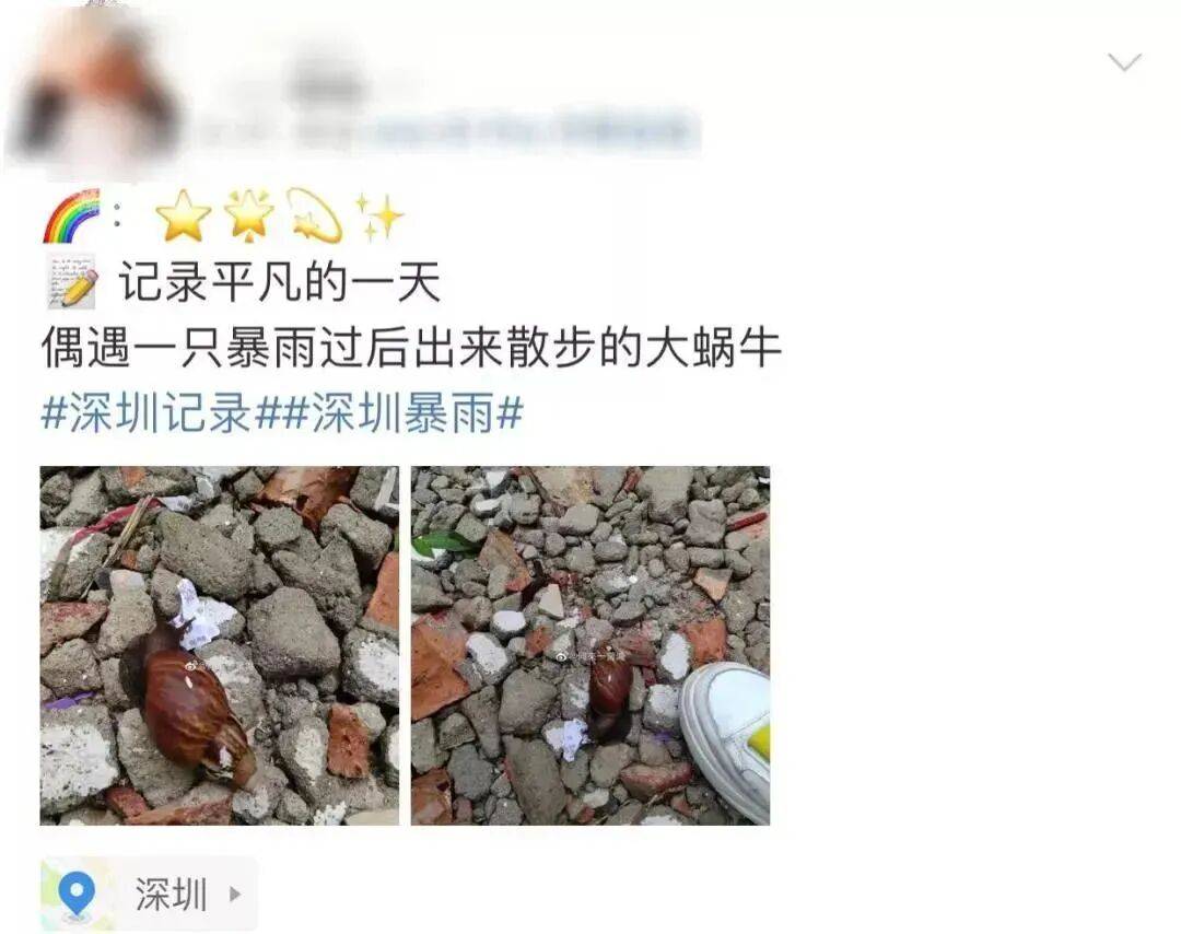 皇冠信用_“只是摸了一下”皇冠信用，深圳1岁女童小区玩耍，确诊严重脑炎！最近很多人见到，千万别碰