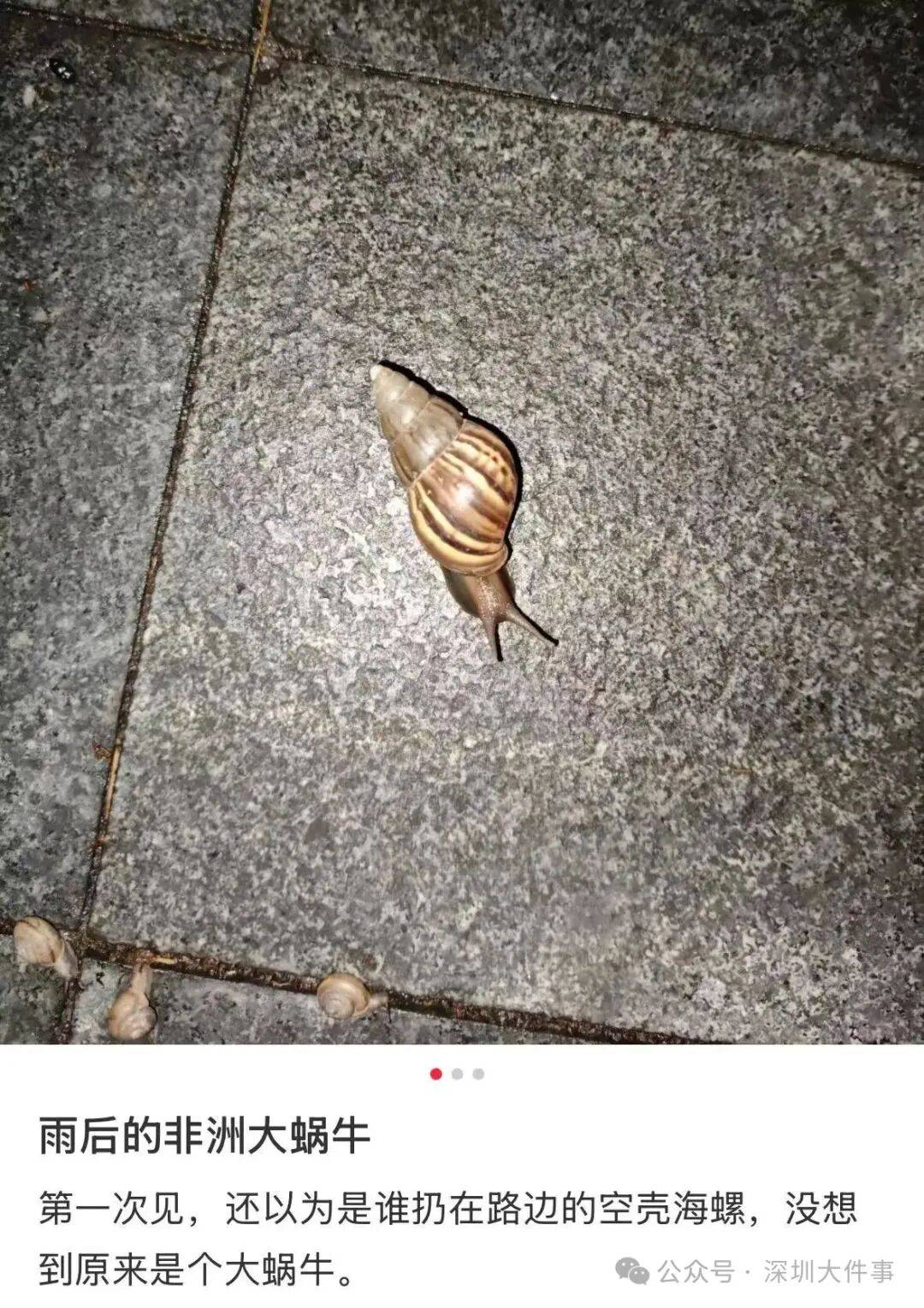 皇冠信用_“只是摸了一下”皇冠信用，深圳1岁女童小区玩耍，确诊严重脑炎！最近很多人见到，千万别碰