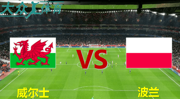 法国VS波兰_欧洲杯：威尔士VS波兰